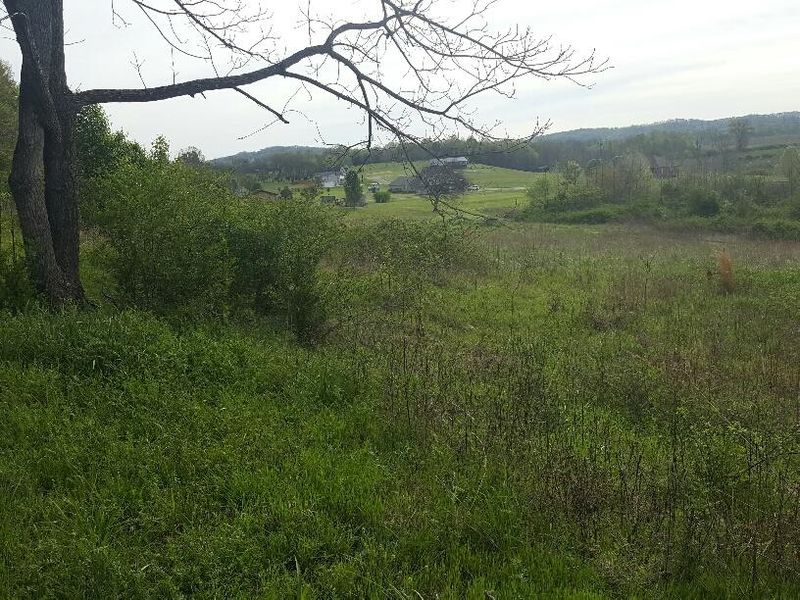 1285 Swan Pond Cir Rd, Harriman, TN 37748