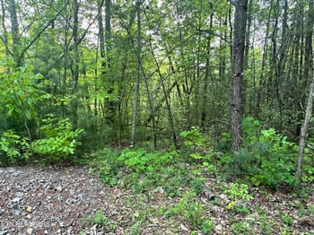 1286 Youngblood Way, Cosby, TN 37722