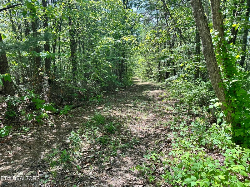 1286 Youngblood Way, Cosby, TN 37722