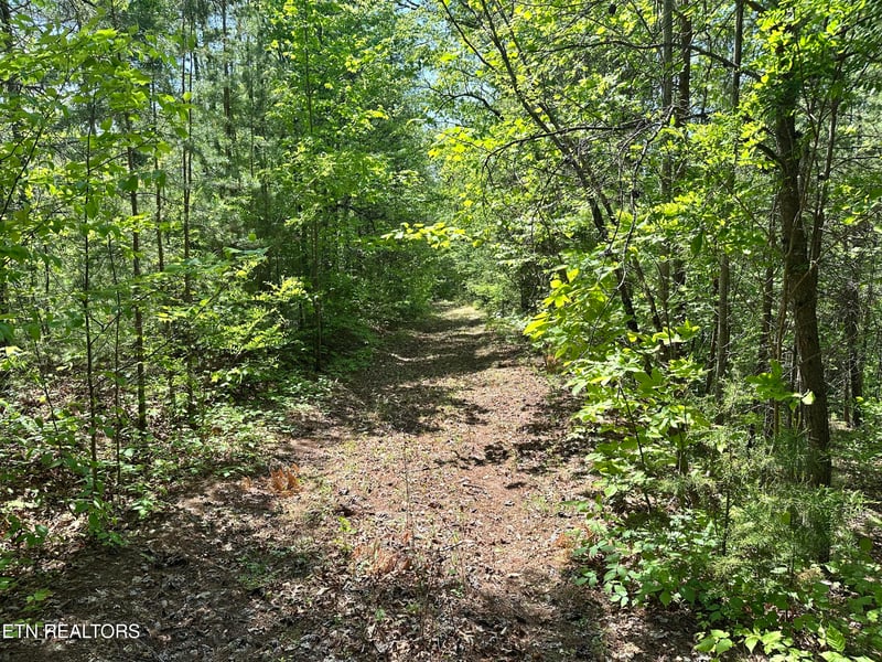1286 Youngblood Way, Cosby, TN 37722