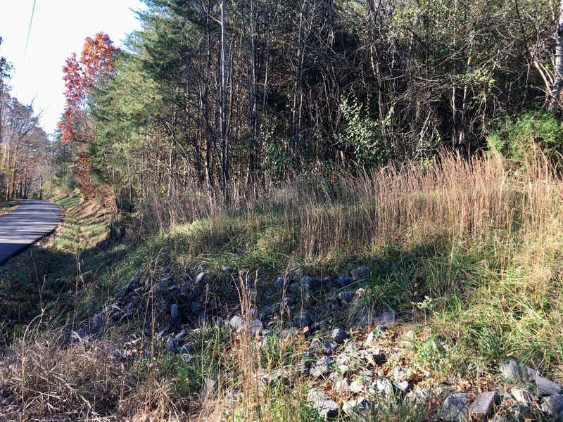 1288 Fork Rd, Greenback, TN 37742