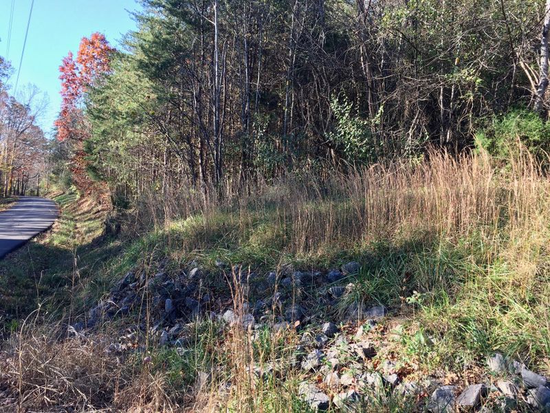 1288 Fork Rd, Greenback, TN 37742