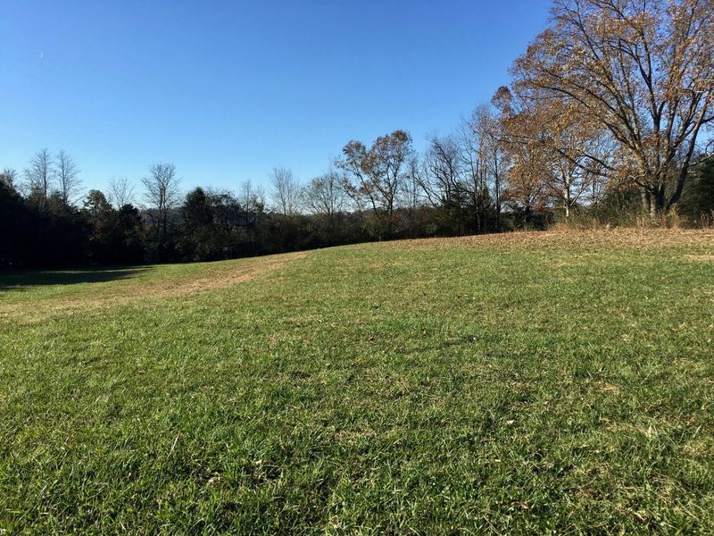 1288 Fork Rd, Greenback, TN 37742