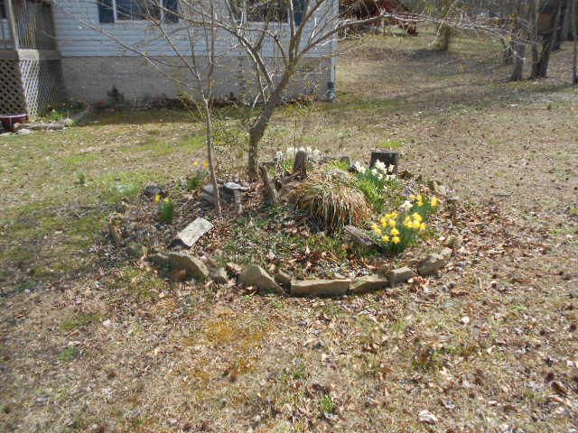 129 Cutter Ln, Clinton, TN 37716