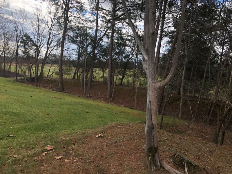 129 Golanvyi Tr, Vonore, TN 37885