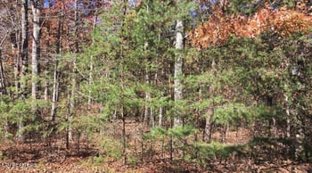 129 Monticello Ln, Crossville, TN 38558