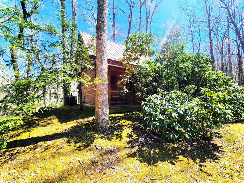 129 Mountain Brook Way, Cosby, TN 37722