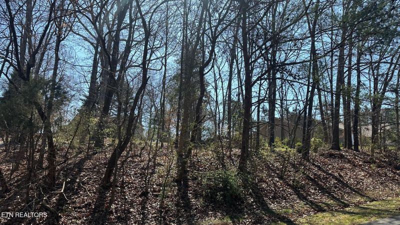 129 Timberlake Dr, Greenback, TN 37742