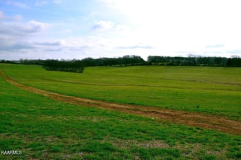 12940 Unitia Rd, Friendsville, TN 37737
