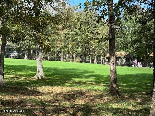 13 Baltusrol Ct, Fairfield Glade, TN 38558