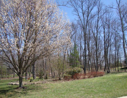 13 Creigmont Ct, Fairfield Glade, TN 38558