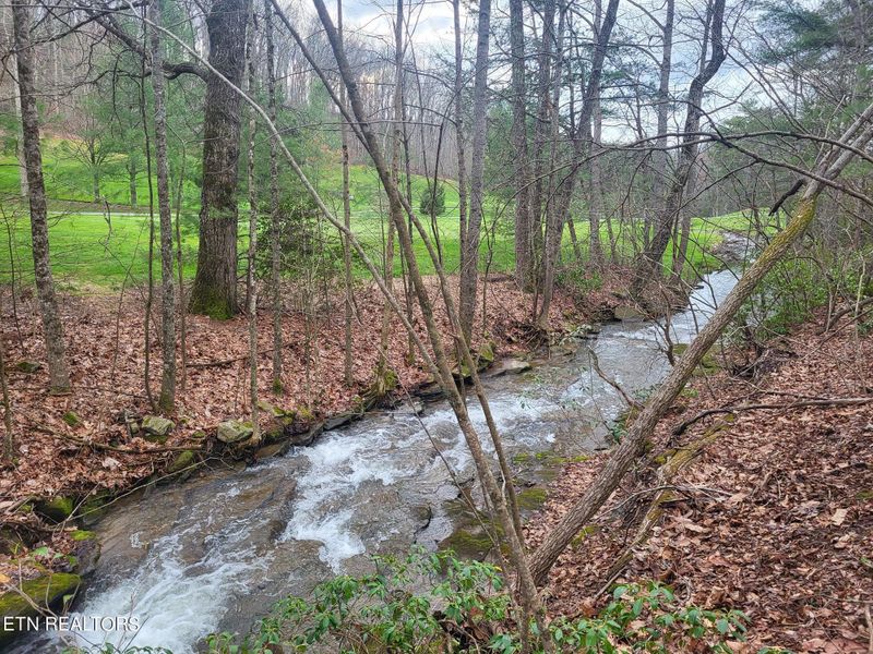13 Forest Hill Ct, Crossville, TN 38558
