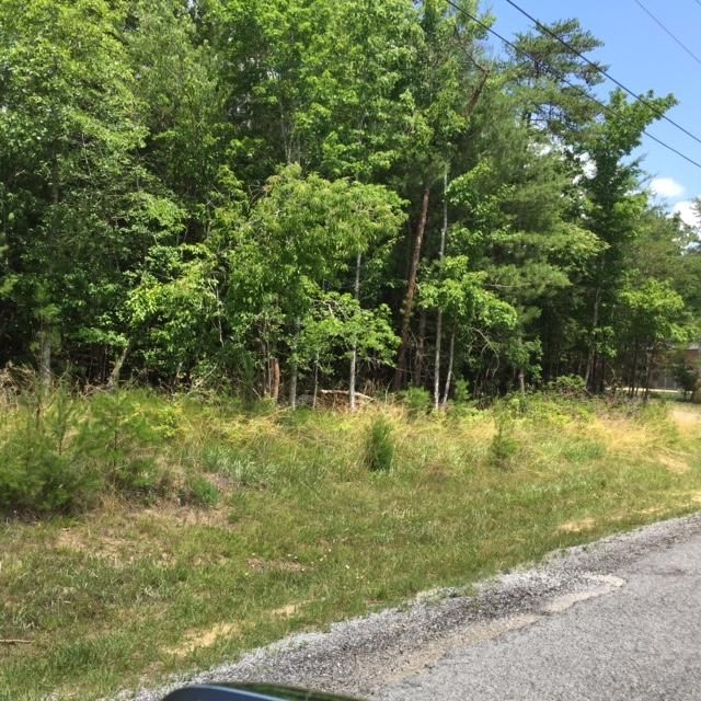 13 Inwood Dr, Fairfield Glade, TN 38558