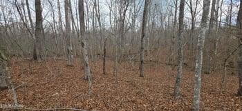 13 Pond Rd, Monterey, TN 38574