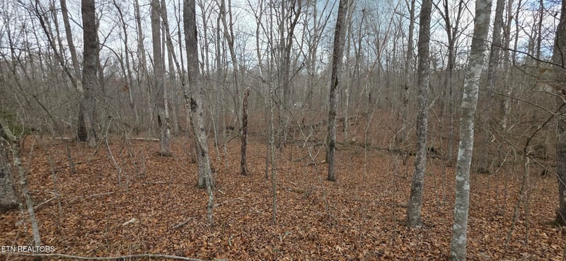 13 Pond Rd, Monterey, TN 38574