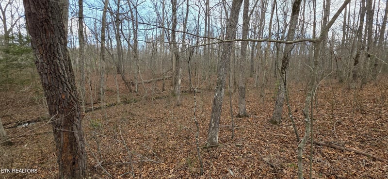 13 Pond Rd, Monterey, TN 38574