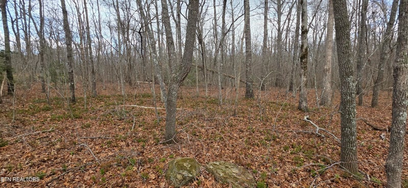 13 Pond Rd, Monterey, TN 38574