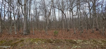 13 Pond Rd, Monterey, TN 38574
