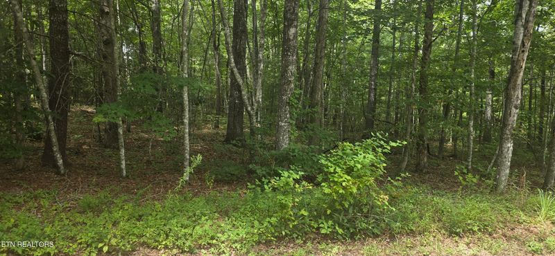 13 Yorkshire Ter, Crossville, TN 38558