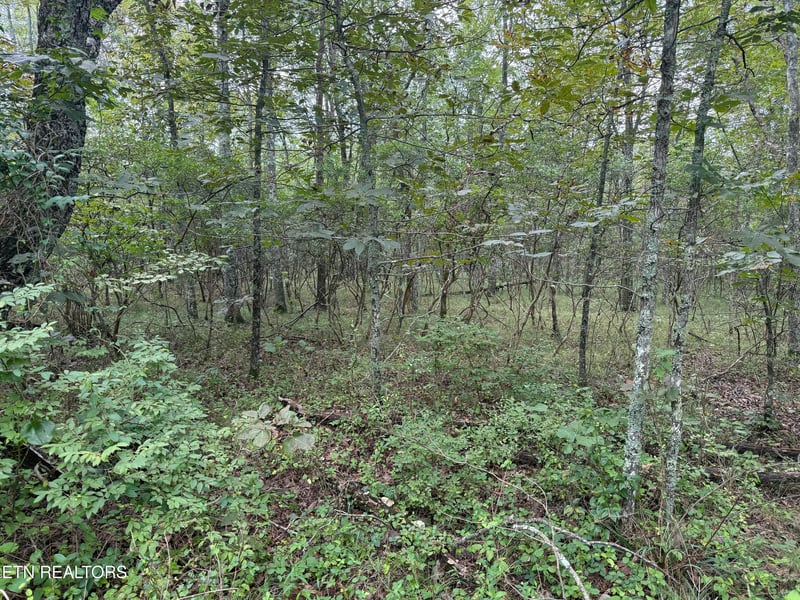 130 Blackburn Dr, Crossville, TN 38558