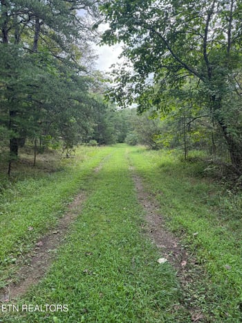 130 Blackburn Dr, Crossville, TN 38558