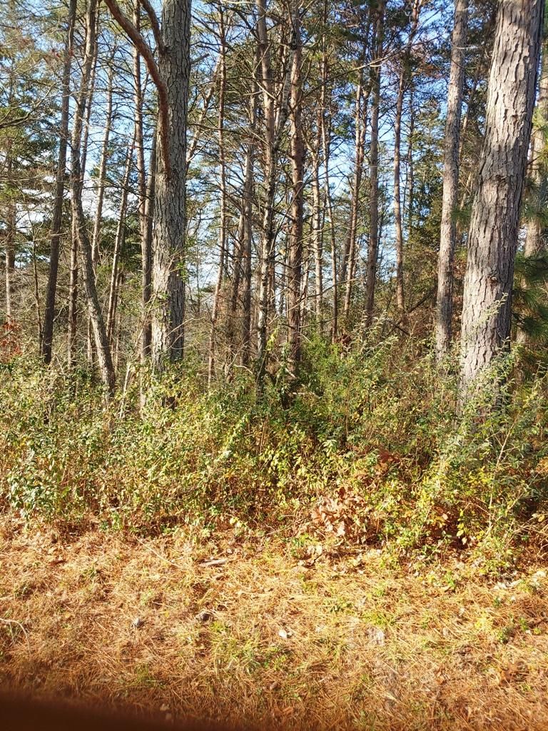 130 Gigi Ln, Loudon, TN 37774