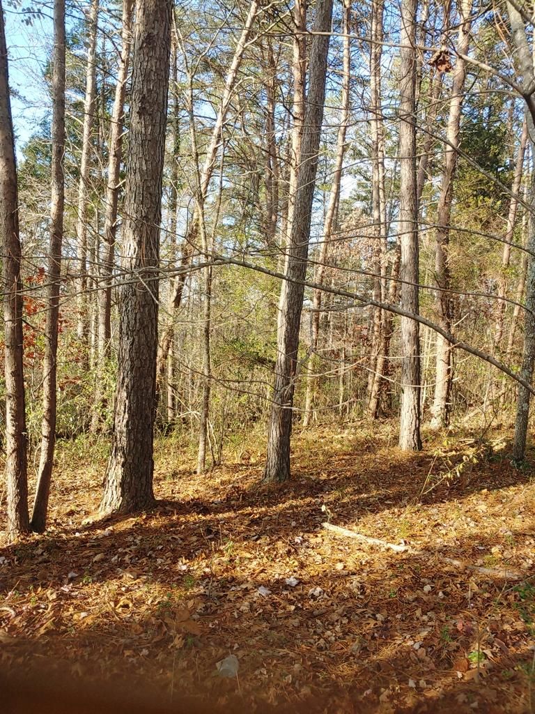 130 Gigi Ln, Loudon, TN 37774