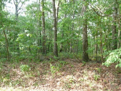 130 Hamlet Dr, Fairfield Glade, TN 38558