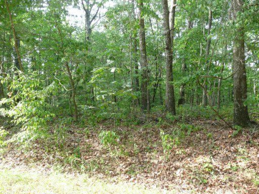 130 Hamlet Dr, Fairfield Glade, TN 38558