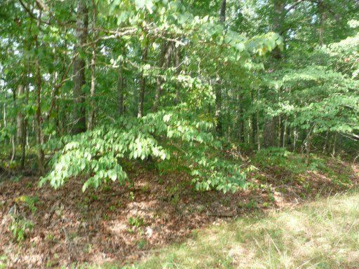 130 Hamlet Dr, Fairfield Glade, TN 38558