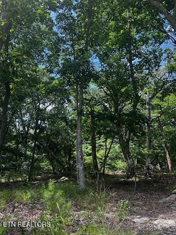 130 Markham Ln, Fairfield Glade, TN 38558