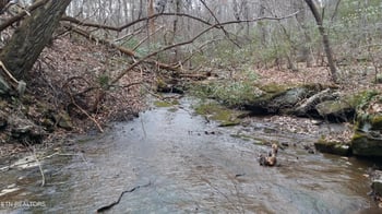 130 Markham Ln, Fairfield Glade, TN 38558