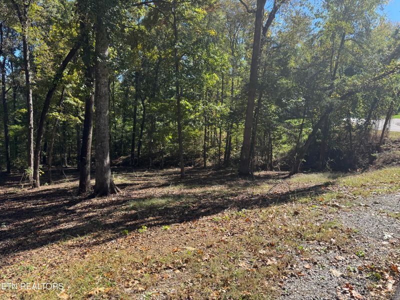 130 Nuhya Way, Loudon, TN 37774
