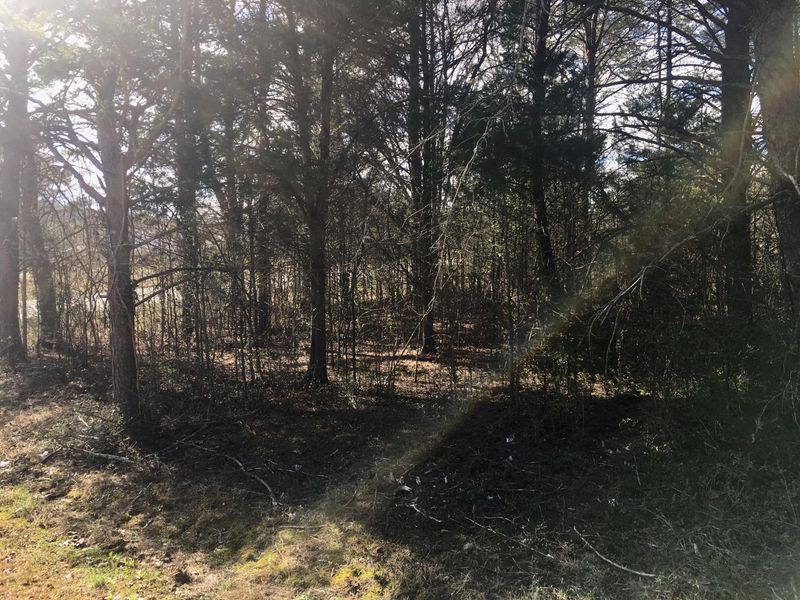 130 Second St, Rockwood, TN 37854