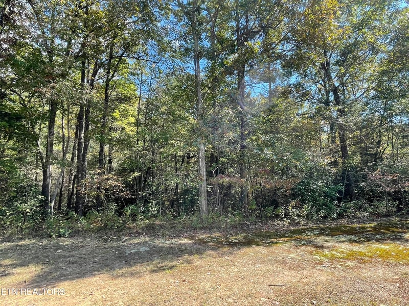130 Stillington Loop, Crossville, TN 38558