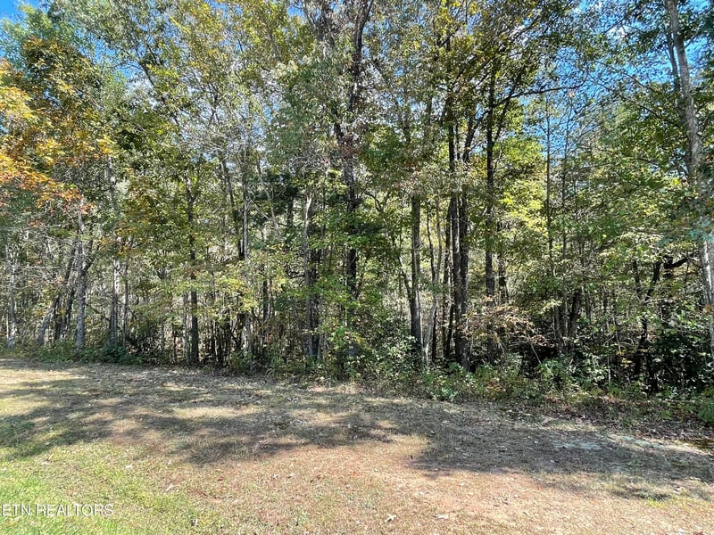 130 Stillington Loop, Crossville, TN 38558