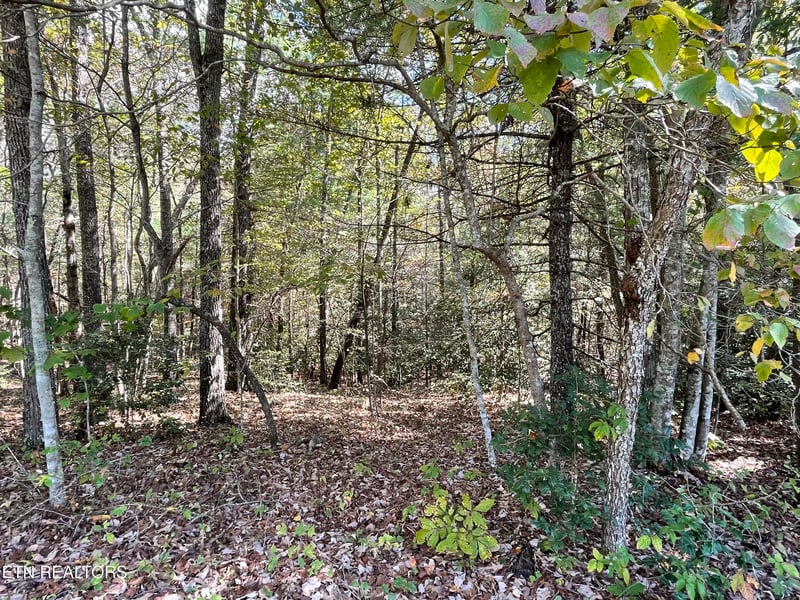 130 Stillington Loop, Crossville, TN 38558
