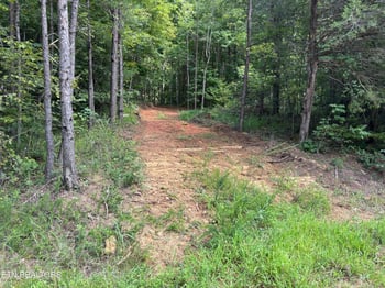 130 Tellico Camp Rd, Madisonville, TN 37354