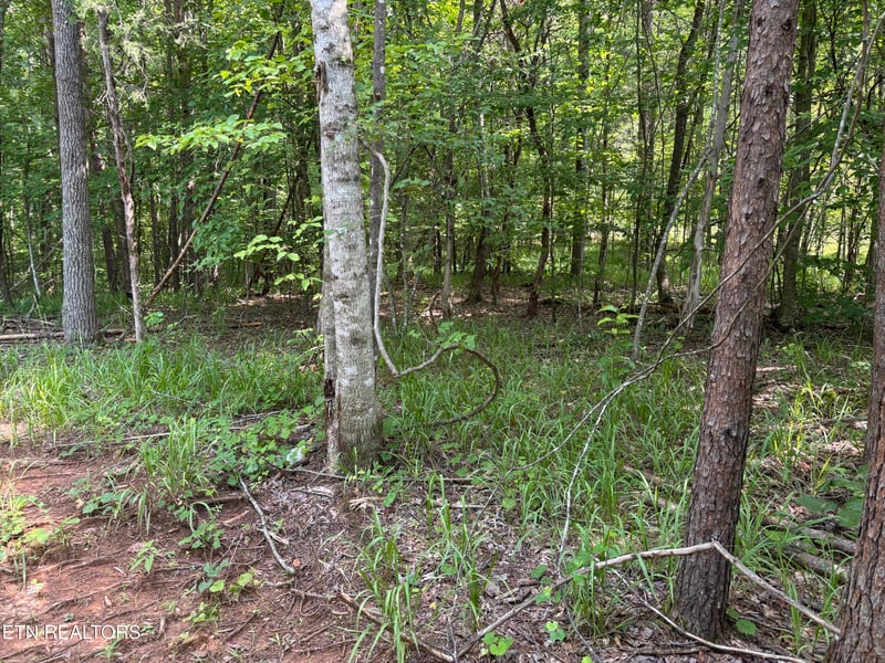 130 Tellico Camp Rd, Madisonville, TN 37354
