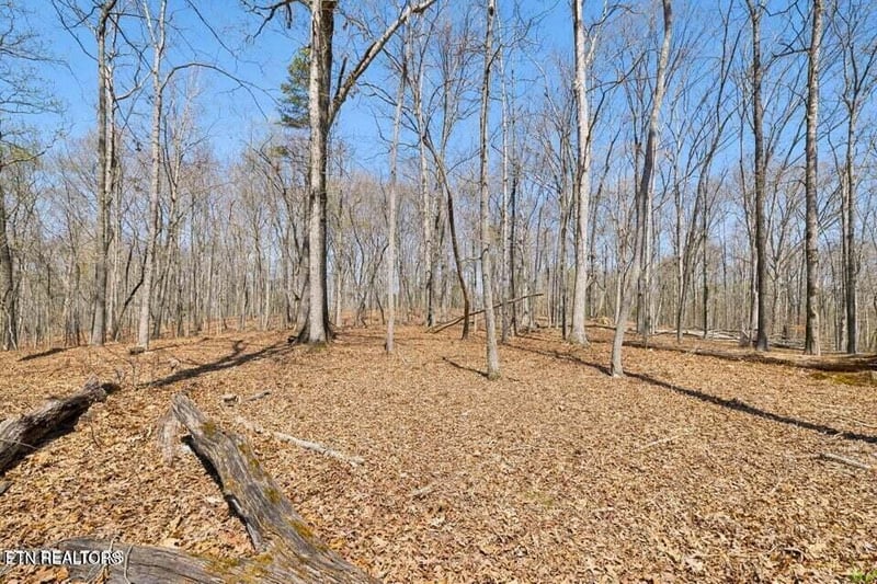 1300 Old Sugar Limb Rd, Loudon, TN 37774