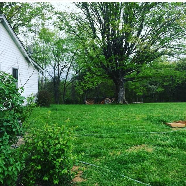 1302 Smith School Rd, Strawberry Plains, TN 37871