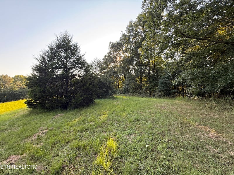 1305 Sweetwater Rd, Philadelphia, TN 37846