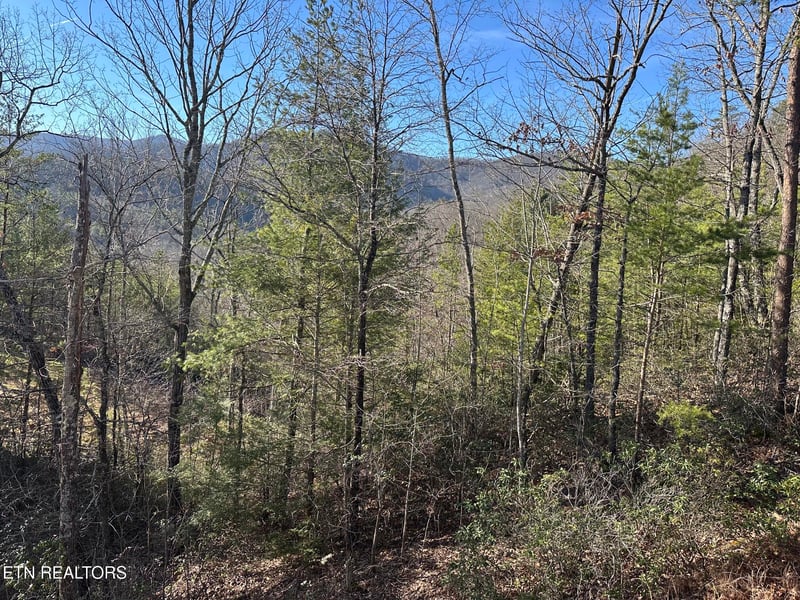 1306 Morning Dove Way, Sevierville, TN 37862