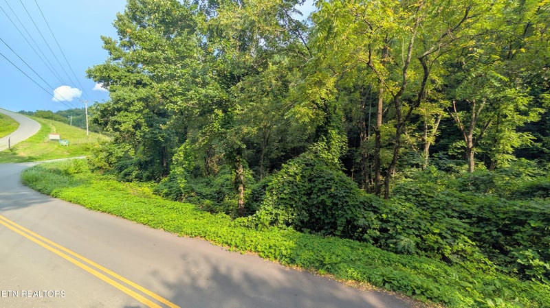 1309 Matthews Hollow Rd, Sevierville, TN 37876