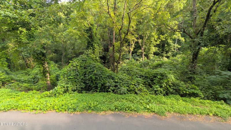 1309 Matthews Hollow Rd, Sevierville, TN 37876
