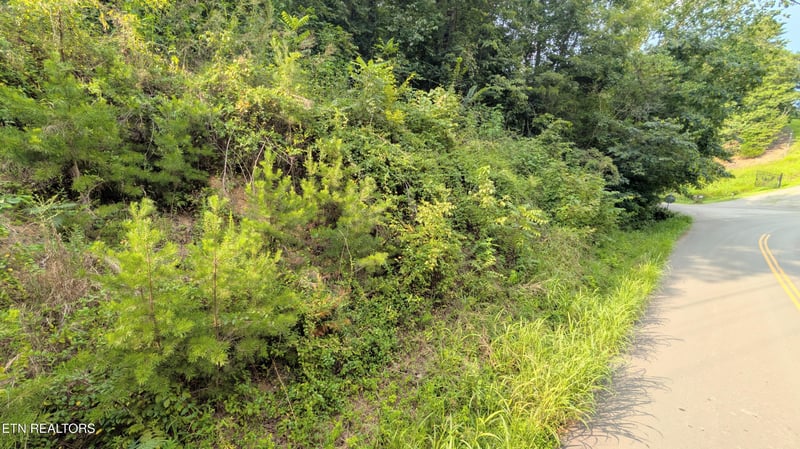 1309 Matthews Hollow Rd, Sevierville, TN 37876