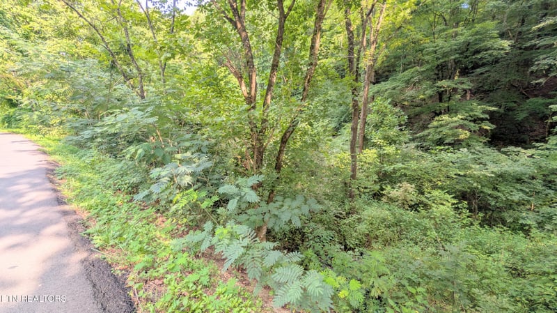 1309 Matthews Hollow Rd, Sevierville, TN 37876