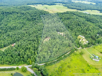 131 Bart Woolum Rd, Lancing, TN 37770