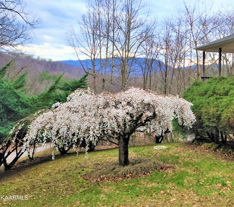 131 Duke Ln, Luttrell, TN 37779