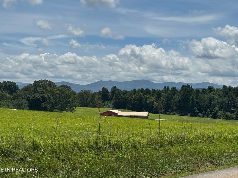 131 Lee Rd, Tellico Plains, TN 37385